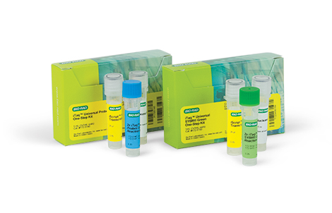 1-Step Quantitative Reverse Transcription PCR (RT-qPCR) from RNA